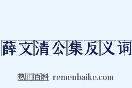 薛文清公集反义词是什么意思的图片